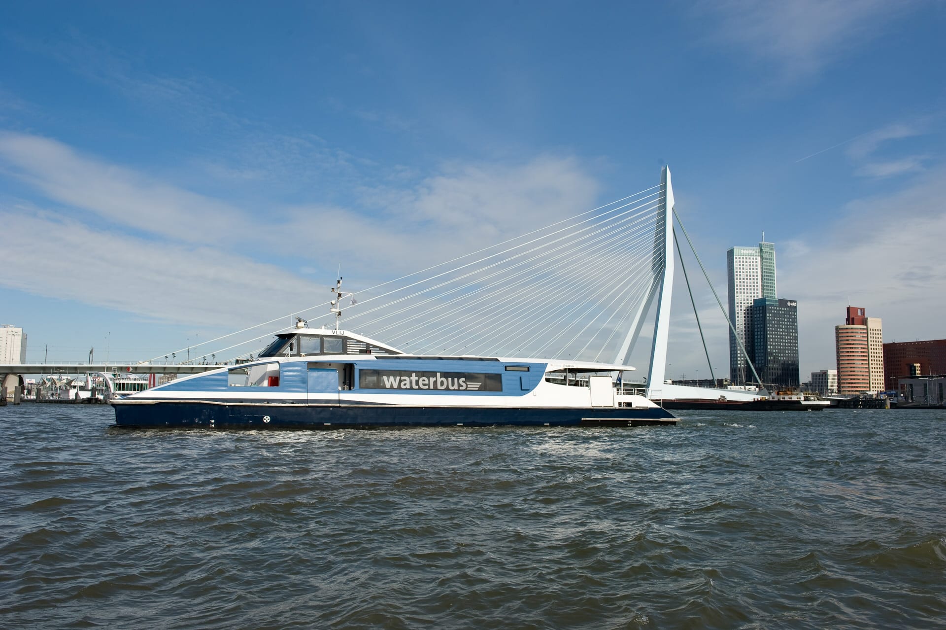 Rotterdam harbour and skyline — the view that anchors a Rotterdam cruise day